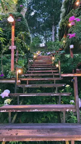 Giữa những tháng năm vội vã ta có quên mất điều gì.. #dalat #reviewdalat #nhabenrung #cafenhabenrung #nhabenrungcoffee #caphenhabenrung #nhabenrungcaphe #caphedalat #quáncafeviewđẹp #chill #binhyen #binhminh 