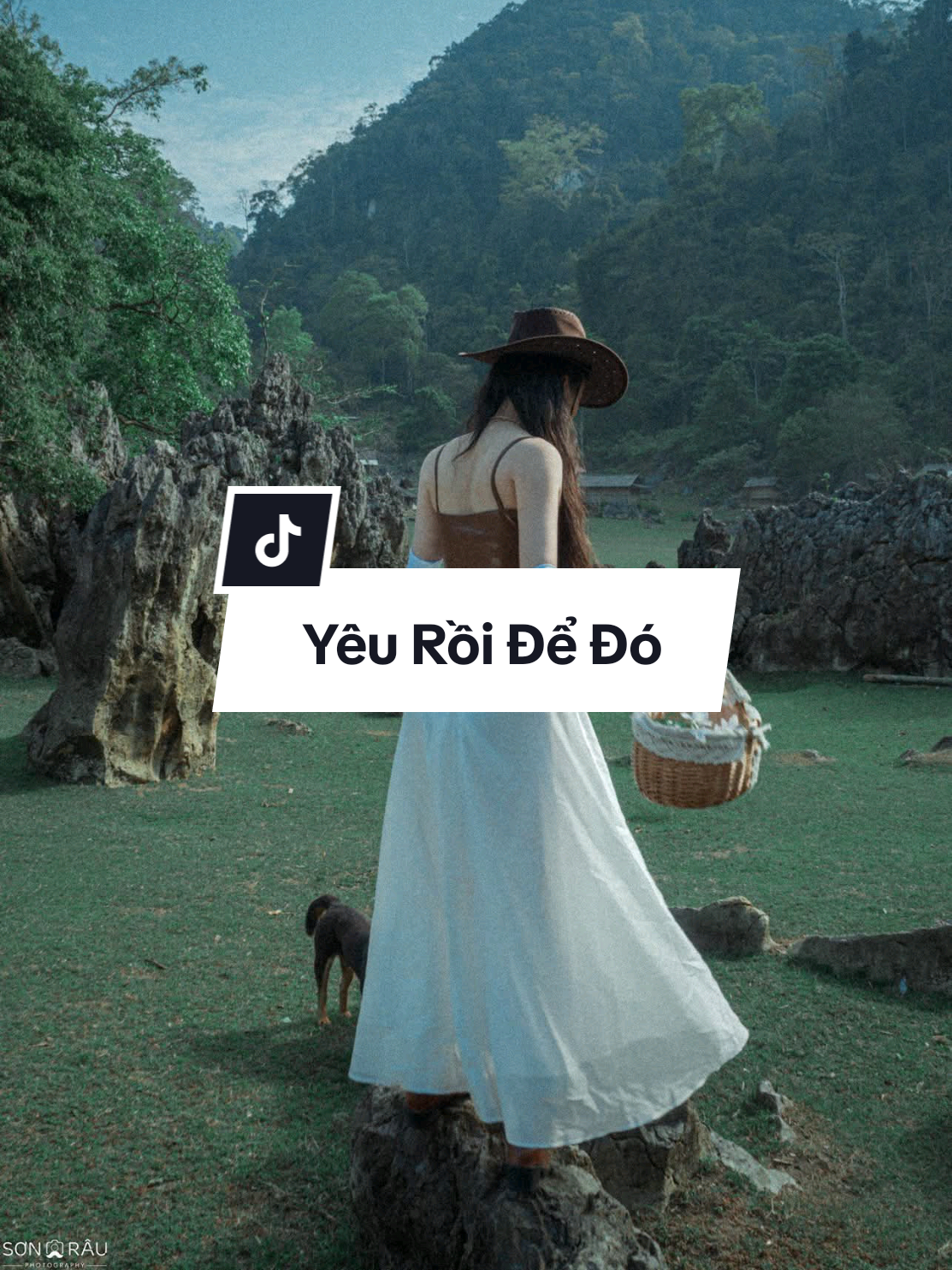 Yêu rồi để đó | Đàm Vĩnh Hưng #DamVinhHung #MrDam #DongThienDuc #YeuRoiDeDo #thanhxuankhongphaidekhoc #nhacsuybuon #nhactinhsaulang #SBKentertainment 