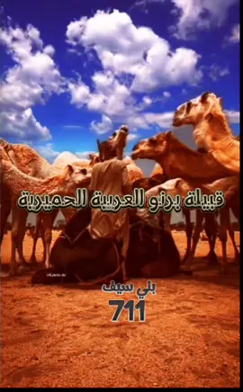 #شعار جديد في العرب711 #ترندقبيلةبرنوعرب  #برنو_بني_سيف_الحميري  #عرب_الباديه_برنو_بني_سيف  #بني_سيف_يازين_العرب🎶🔥  #بني_سيف_فزع_البعيد_في_تشاد 