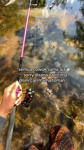 #fyp#toman#mancingliar #