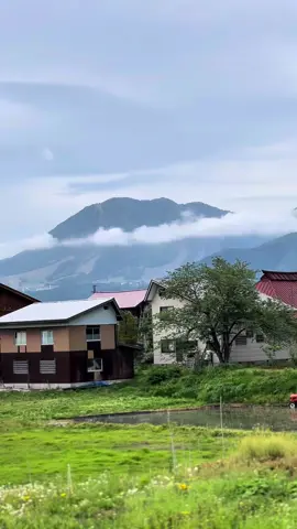 Urip ndeso adem ayem🇯🇵 #xcyzba #fyp #nganjuk24jam #japan 