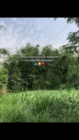 ❤️‍🩹 #creatorsearchinsights #fyp #xybca #jyoti #copylink #missingsomeone #fyppppppppppppppppppppppp 