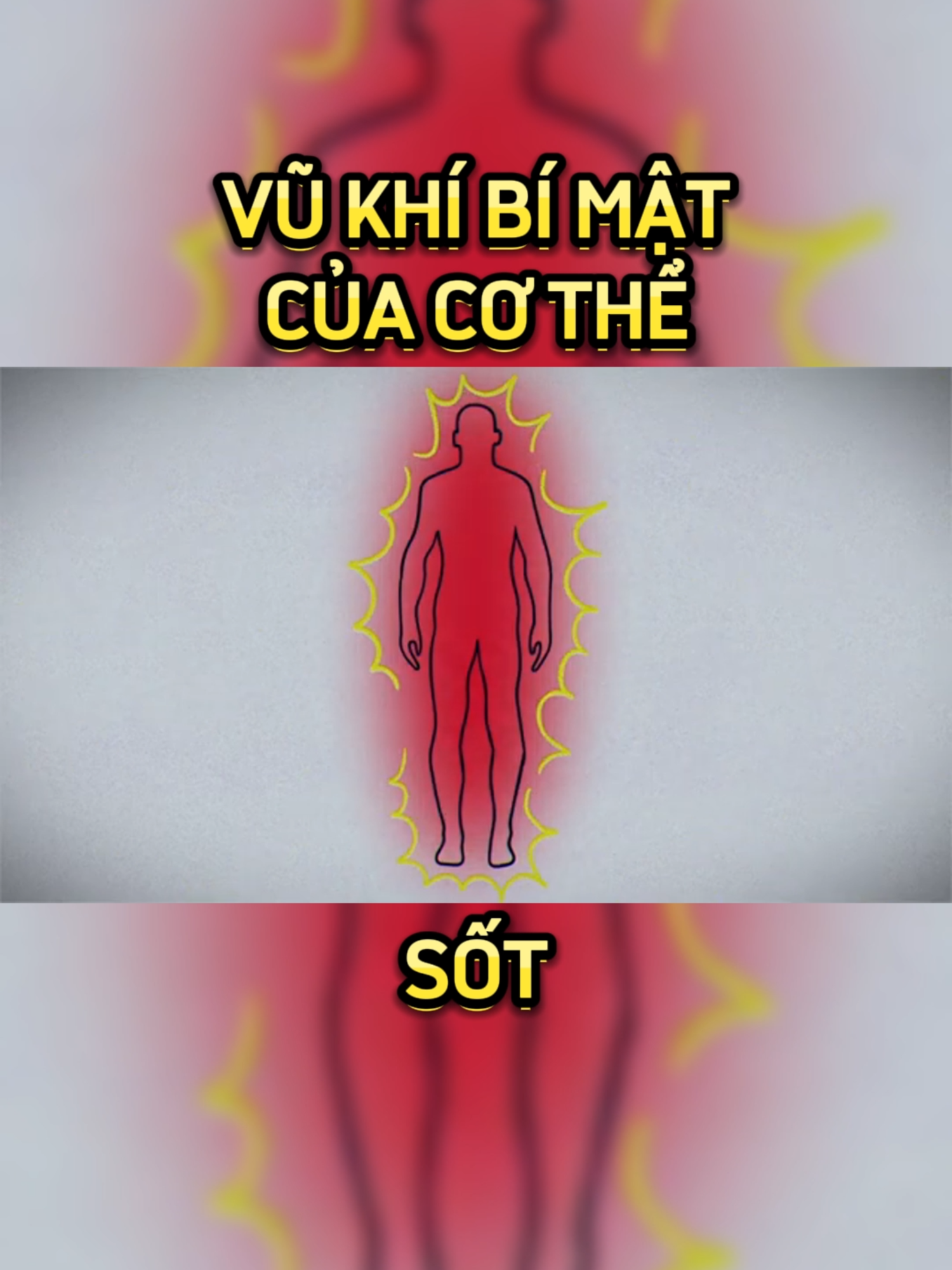 Sốt. Vũ khí âm thầm mà cơ thể bạn giấu kỹ... #songkhoe247 #healthy #FYP #LearnOnTikTok