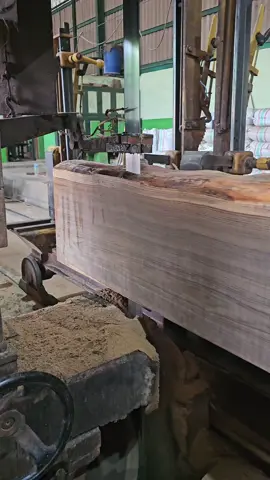 SUARA YANG PALING DI BENCI OPERATOR GRAJI😅😅😅#jatinugroho #jatiperhutani #sawmill #kayujati #kayujatisuper #kayu #joglo #hara 
