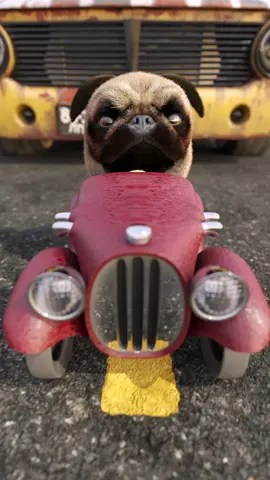I can dream...#pug #3danimation #krazymations 