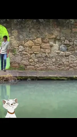 Pase lo que pase - Camilo Blanes música para viajar  #musica #recuerdos #dedicado #paratii #rutas 