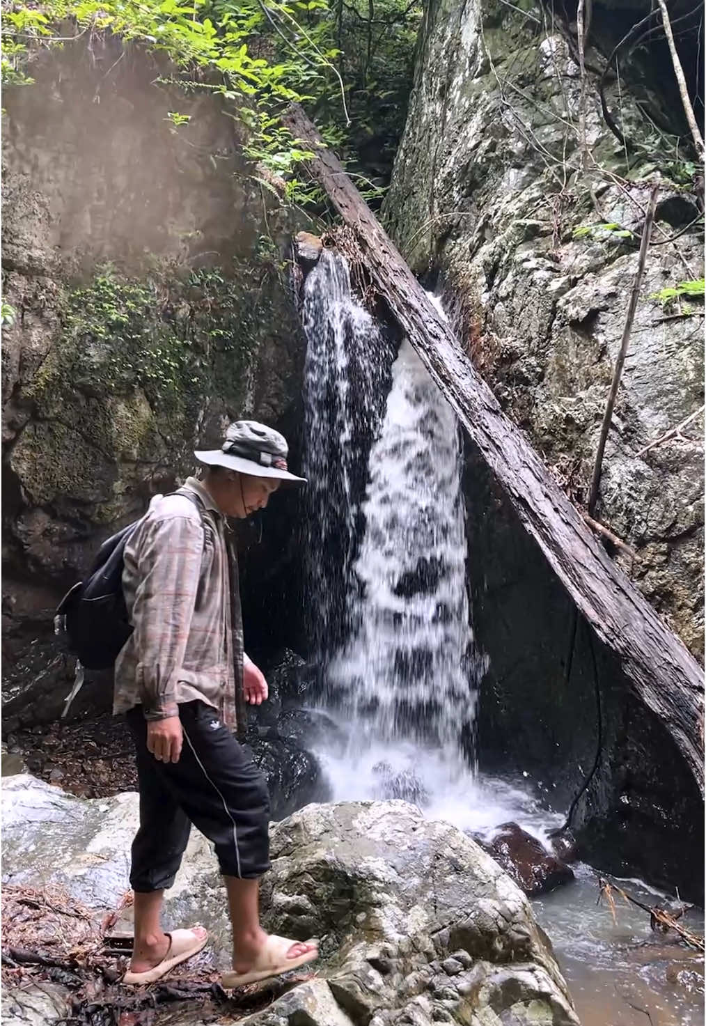 เดินป่าตามลำธารธรรมชาติ #พาจอเมะ 