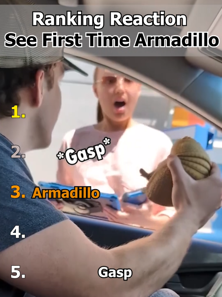 Ranking Reaction See First Time Armadillo #ranking #armadillo #shorts #fyp 