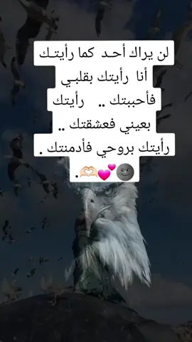 #الحمدلله_دائماً_وابداً #tiktokarab #أنين_الروح 