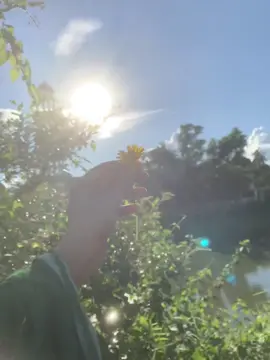 ajker akash onek sundor chilo❤️#viral #viralvideo #fryyyyyyyyyyyyyyyyyyyyyyyyy #foryoupagе 