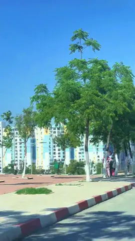 #constantine #قسنطينة #نوفال_قسنطينة💚🖤 