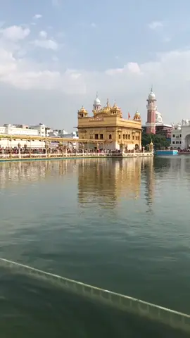 #sikhi #sikhism #sikh #waheguru #waheguruji #punjabi #waheguruji🙏🙏🙏 #☬ੴ #ਵਾਹਿਗੁਰੂਜੀ #ਵਾਹਿਗੁਰੂ #ਸਤਿਨਾਮ 