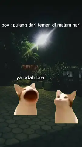 apa lagi lewat kuburan #fyp #jumpscare #bismilahfyp #foryou #xcyzba #memekucing 