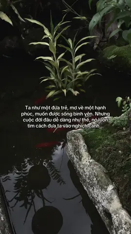 …#tamtrang #story 