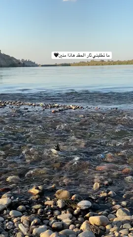 #عبارتكم🥀 #متابعه_ولايك_واكسبلور_فضلا_ليس_امر 