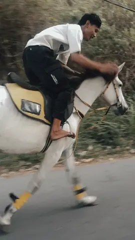 #berkudaindonesia #kuda #hobby #IBU 