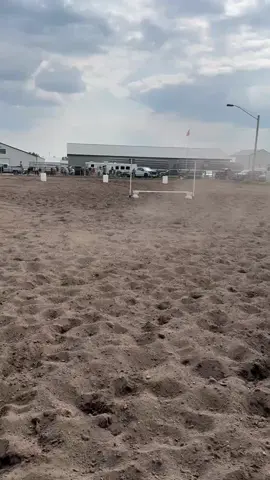 My girl raven layed a nice run down winning jumping figure 8 with a 17.642 yesterday