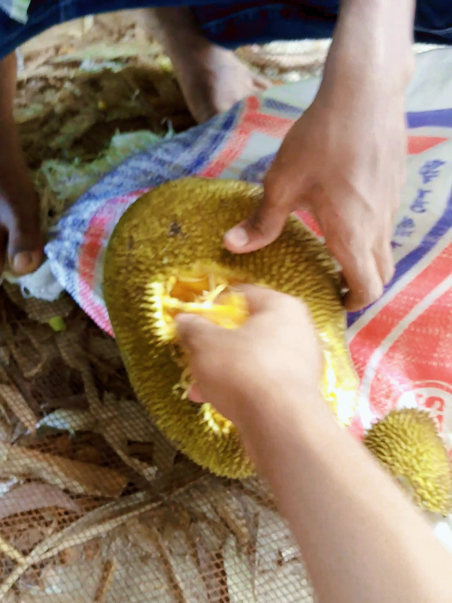 #unfrezzmyaccou#tpyシ  #bdtiktokofficial #evryon #50millionviews #friends #pyf #look #day #id #nice @TikTok @TikTok Bangladesh 