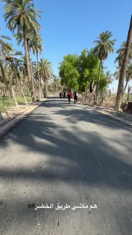 طريق الخضر#مشاية #زيارة_الاربعين 