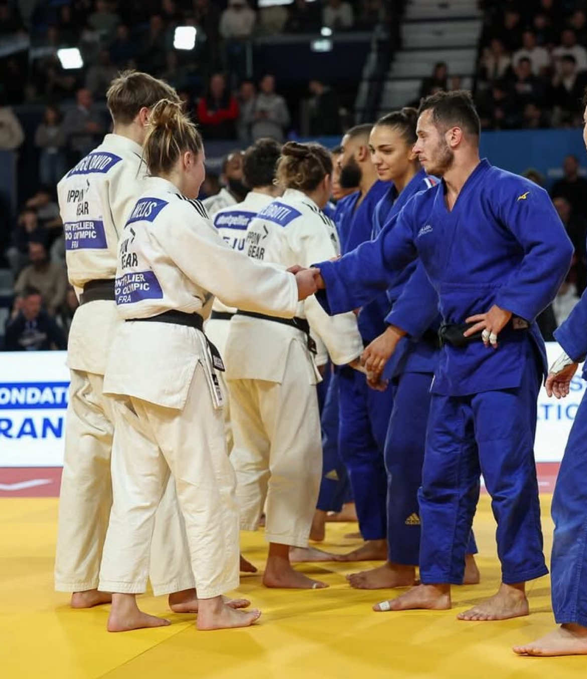 CHAMPIONS LEAGUE 🇫🇷 #judo #judoka #sport #ippon #championsleague #leaguedeschampions #pourtoi #fyp 