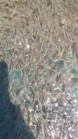 zzzxxxxzzxxzz #fypシ゚ #😑 