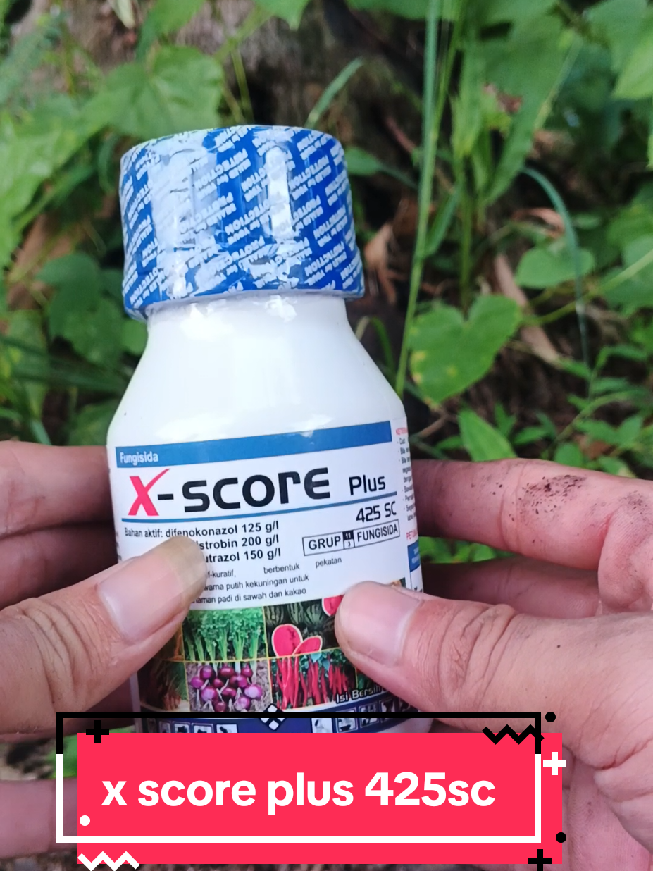 fungisida x score plus 425sc  melindungi tanaman #fungisida #xscoreplus #xscoreplus425sc #wibgajian 