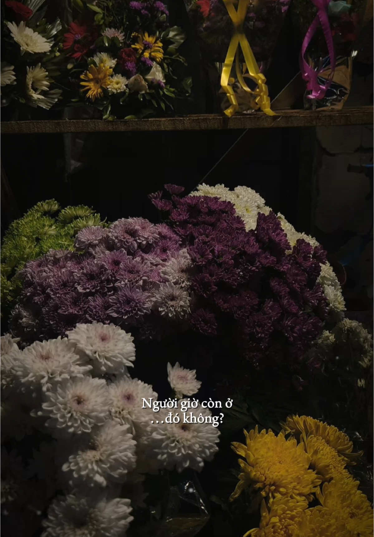 #CapCut thôi xem như là duyên số cây lung lay vì nay liễu phong…#jack #j97 #nhactamtrang #thuat26th9 #nhachaymoingay #maucapcut 