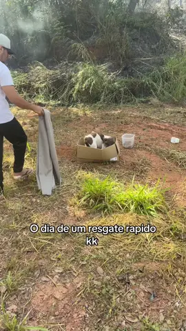 Dificil mas um final feliz kk ❤️🤣 #cachorro #resgate #feliz #fyp 