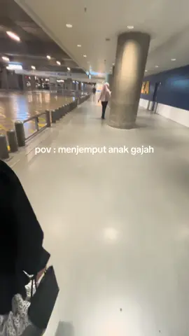 akhirnya punya anak gajah #xyzbca #gajah #anakgajah #ikea #fyp 