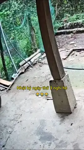 Nhật ký ngày thứ 3 nghỉ hè 😂 #giaothong #giadinh #haihuoc #giaoduc #vuive #nghihe #mayman #plxhvn #phapluatxahoi