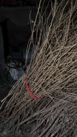 #foryoupage #😲😲😲#uk