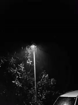 বাইরে বৃষ্টি হলে তুমি মুগ্ধ হয়ে তাকিয়ে থাকতে পারো ছুঁয়ে দিতে পারো বৃষ্টির জল টিনের চালে বৃষ্টির ফোঁটার শব্দও চোখ বন্ধ করে উপভোগ করতে পারো! শুধু শুনতে পাওনা আমার চাপাকান্নার শব্দ আমার চোখের অশ্রুও তোমার দৃষ্টি ছুঁতে পারে না! এই বুকে যখন ঝড় ওঠে মন খারাপের মেঘ জমে আমার দুই চোখেও তখন বৃষ্টি নামে আকাশের বৃষ্টির মতো আমার চোখের বৃষ্টি ছুঁয়ে দেয় না তোমার আঙুল! আমার কষ্টগুলো তোমার ভাবনার বাইরে আমার এই চোখের বৃষ্টি, দৃষ্টির আড়াল করেই রাখলে সবসময়! যদি একবার জানতে আমার মন খারাপের কারণ তাহলে হয়তো আমার স্বপ্নগুলো বৃষ্টি হয়ে ঝরে পড়তো না! তুমি একবার আমার হলে বৃষ্টিকে আমি করে দিতাম বারণ!☺️ #foryou #foryoupage #music #trending #lyrics #plzunfrezemyaccount #its_yors_alamin #bd_editz_society 