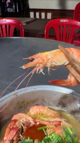 Đá nhẹ tô mì ae ơi. #cuacamau #nuoitomquangcanh #xuhướngtiktok #CauBaNuoiCua #69camau 