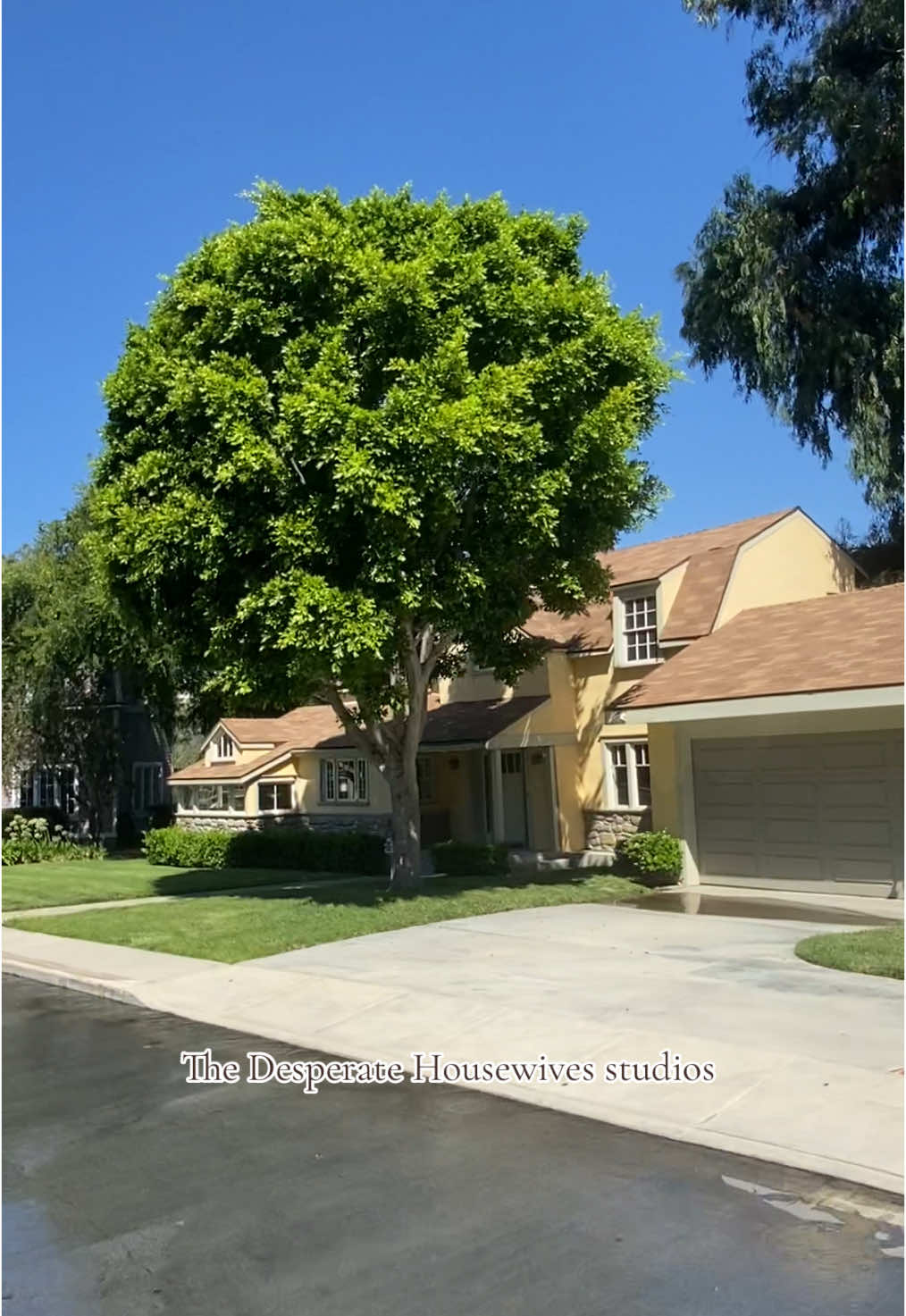 One of my biggest dreams finally came true 🥹🍎  #pourtoi #fyp #universalstudios #hollywood #desperatehousewives #universalstudioshollywood #gabriellesolis #susanmayer #lynettescavo #breevandekamp 