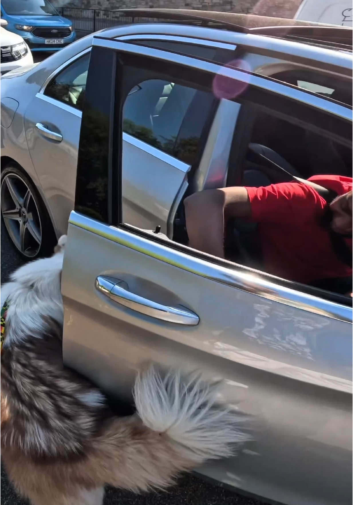 Interactions with my dog!!  #husky #viral #dog #tiktok #petlover #doglover #fyp #foryou #foryoupage 