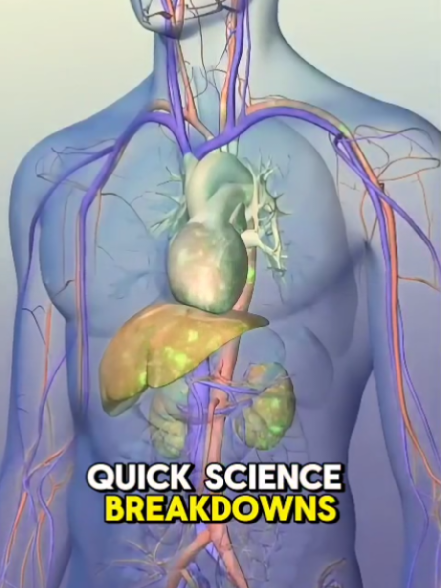 How Painkillers Work #medical3danimation #3dmedicalanimation #PainRelief  #PainManagement  #Painkillers  #ChronicPain  #PainAwareness  #PainScience  #HealthEducation   #PainkillerFacts   #UnderstandingPainRelief   #HowPainkillersWork   #PainManagement101   #PainkillerAwareness   #PainScience   #BeyondPainkillers   #PainReliefEducation 