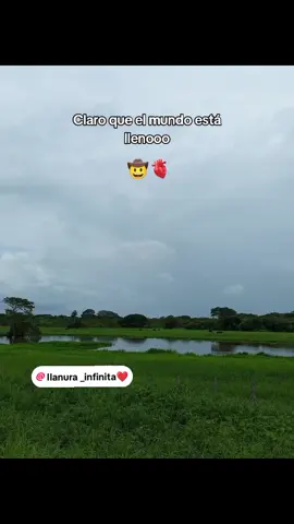 #venezuela🇻🇪 #llanurainmensa #paratiiiiiiiiiiiiiiiiiiiiiiiiiiiiiii #llanuravenezolana #agropecuario @Vitico_Castillooo 