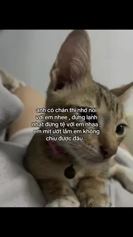 huhuu