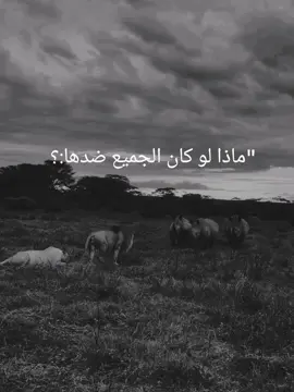 #fyp   -#fypシ゚ 