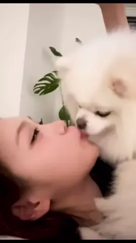 チェウォナ、シロと熱いキッスをしてる笑可愛すぎか！#chaewon #lesserafim #kpop #fyp #CapCut 