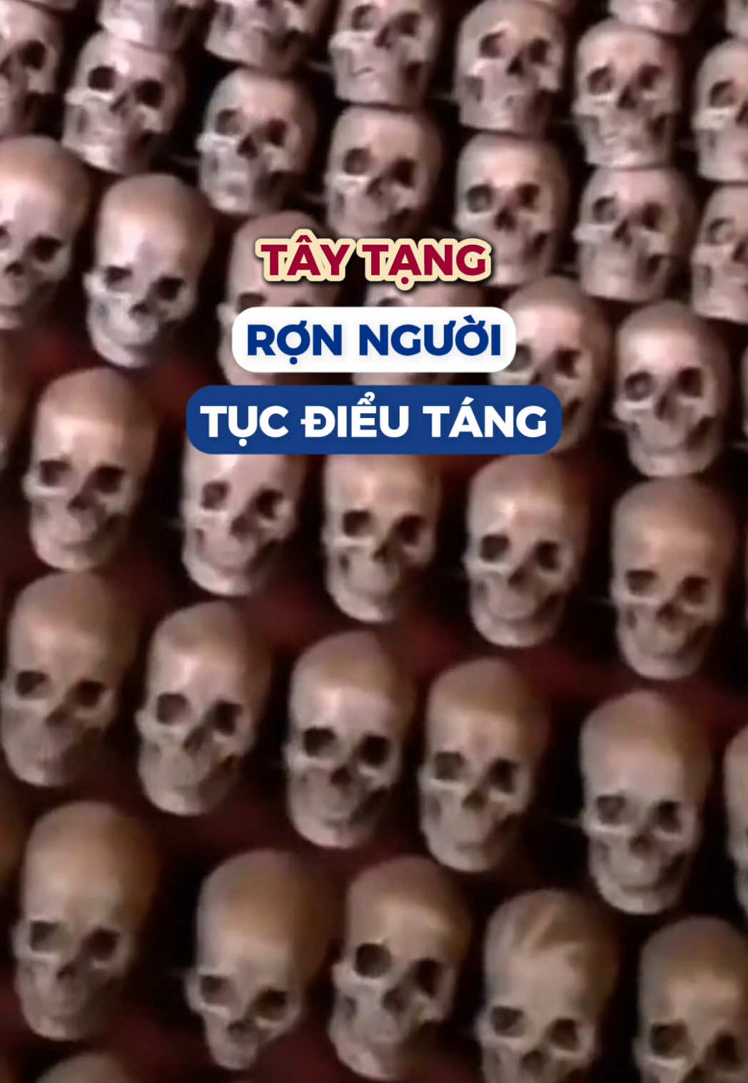 Văn hoá linh thiêng của người Tây Tạng ... Tục điểu táng  #vnatravel #traveltiktok #fypシ゚ #xh #tourtaytang #taytang #khamphathegioi #nvnm #bdpun #travel 