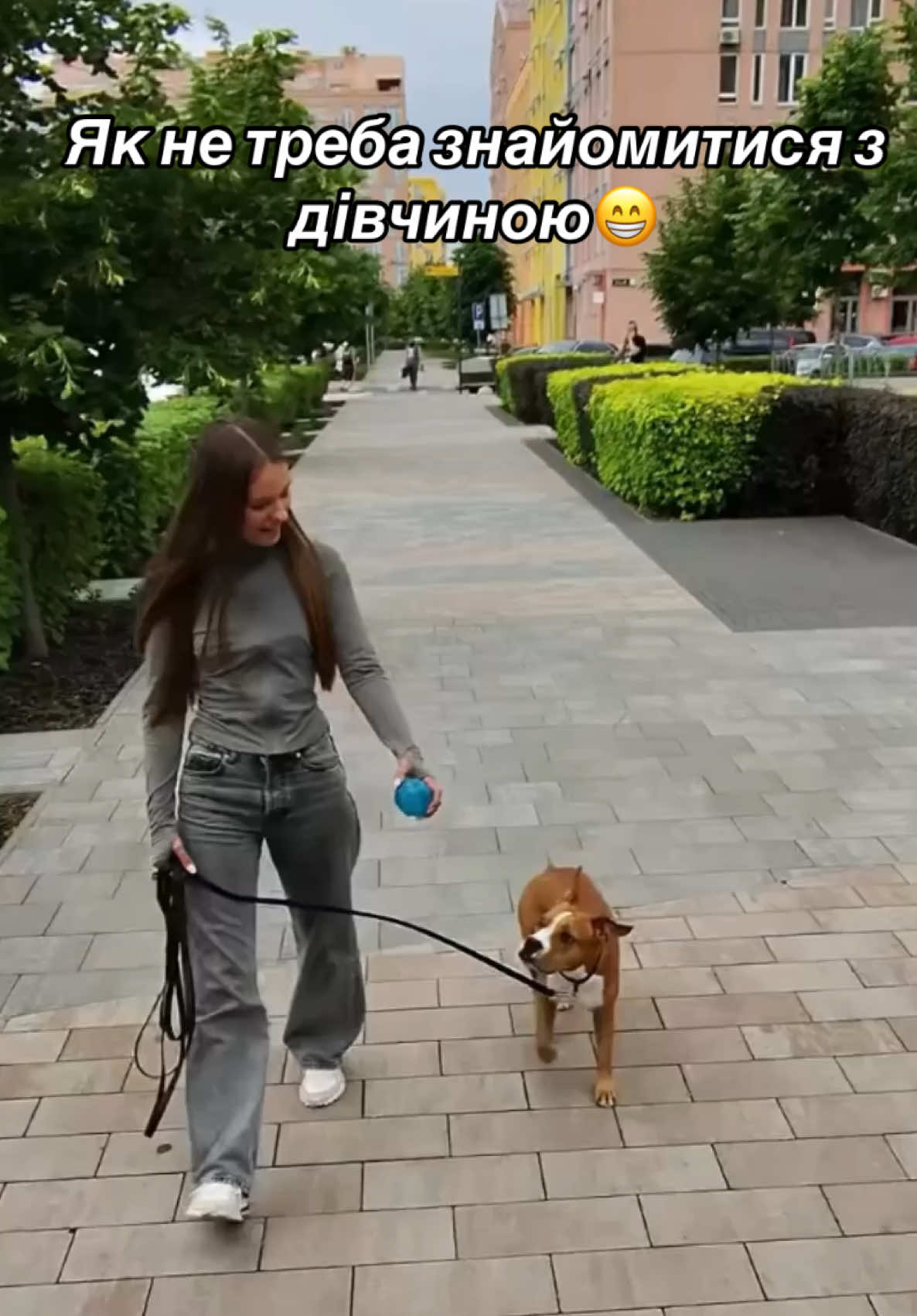 Дуже мила собака🥺