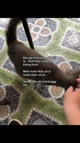 tại sao lại khong thể#xuhuongtiktok #fyp #xuhuong #vetthuonglong 