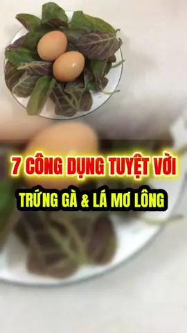 7 công dụng của trứng gà lá mơ #suckhoe #Lanhdongy #LearnOnTikTok 
