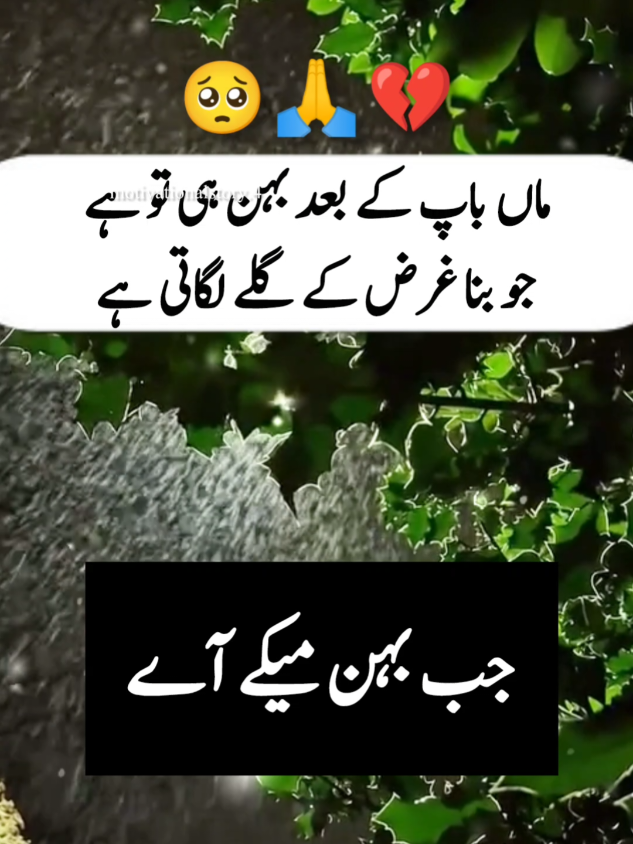 anmol moti jab behan maeky ay#islamic_video#foryou#foru#LearnOnTikTok#motivation#fyp#pyf#urdopotery#motivationalstory4 
