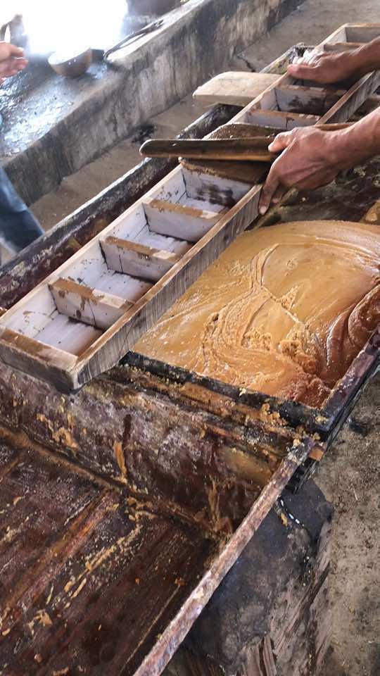 Nossa tradicional rapadura, cultura nordestina  #cultura #nordeste #culturanordestina #arrochado #forno #rapadura 