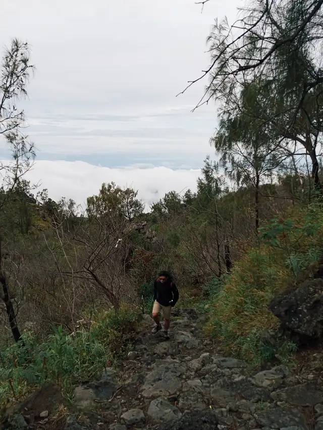 #gununglawu #pendakigunung #fypp #cemorosewu 