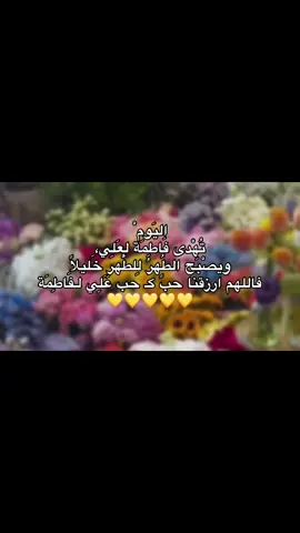 متباركين💛 #زواج_النورين #اللهم_صل_على_محمد_وآل_محمد 