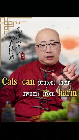 Your cat might be bringing you good luck.#cat #lucky #fortune #life #fate #goodluck #energy #wealth #wealthtips #destiny #fengshui #astrology #numerology 