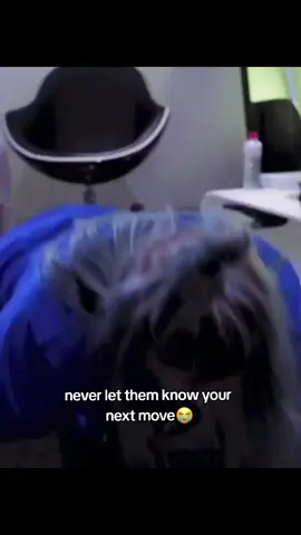 I JUST LOVE HER😭 @BILLIE EILISH #billieeilish #funnyyyy #goviral #billie 